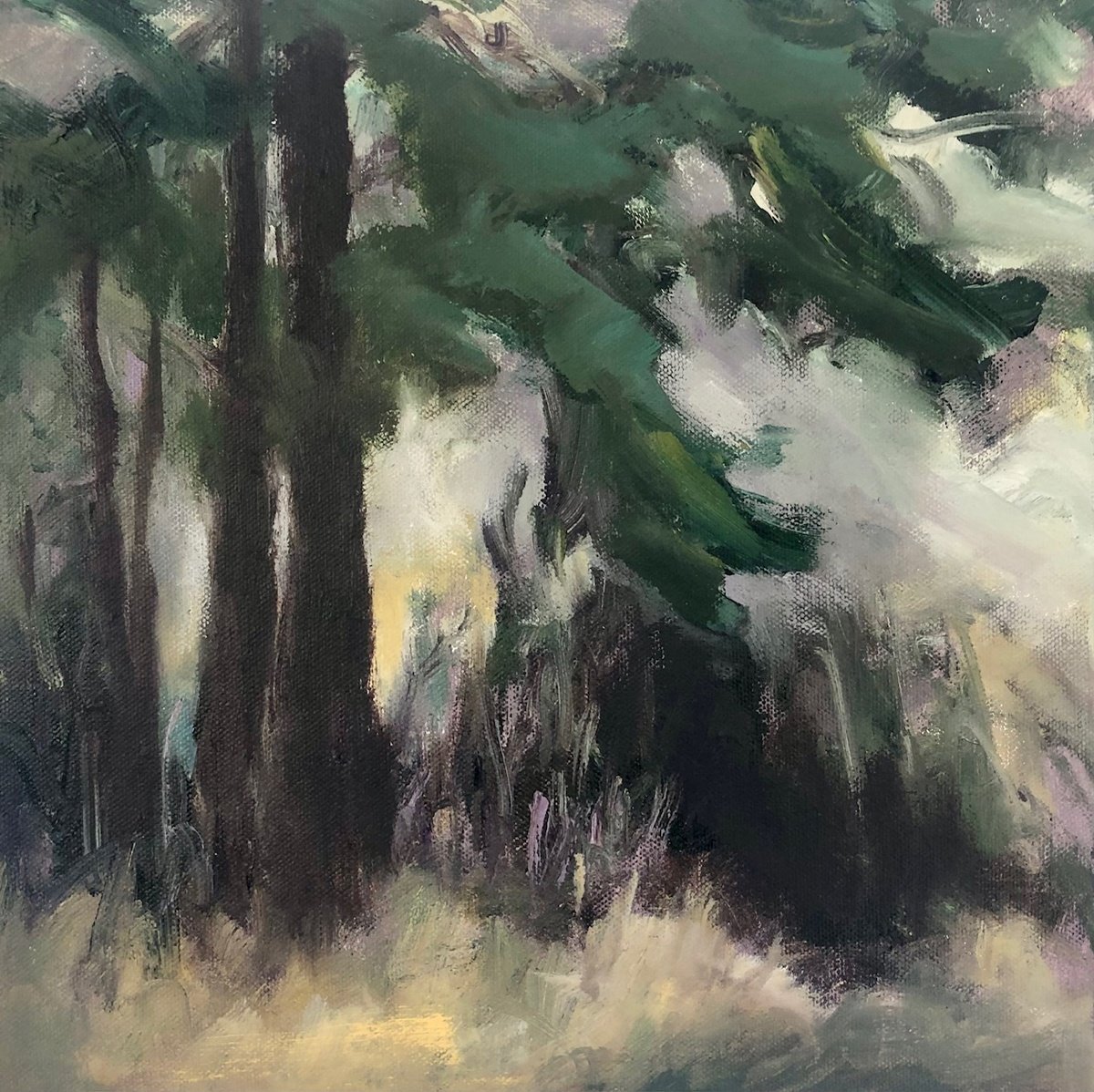A Watery Sun By Joanna Farrow, 13 X 13, Artwork For Sale On Artfinder