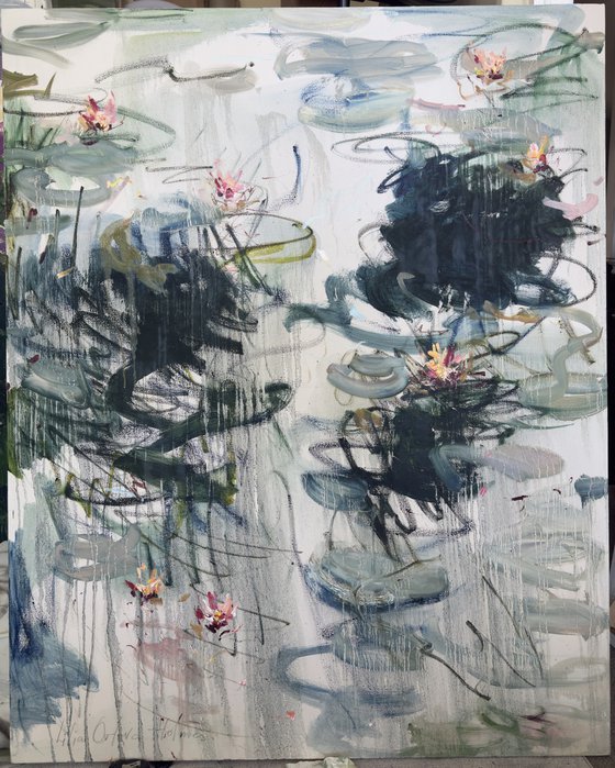 Water lilies. Spring reflections