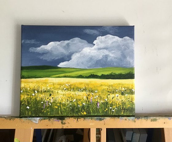 Meadow Flowers