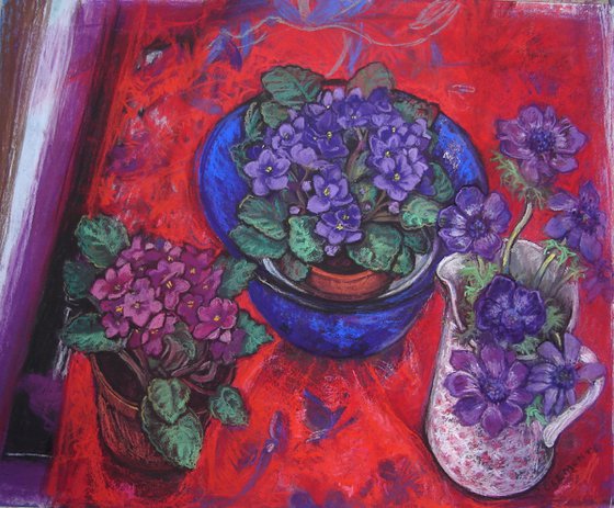 Still life African Violets on red background