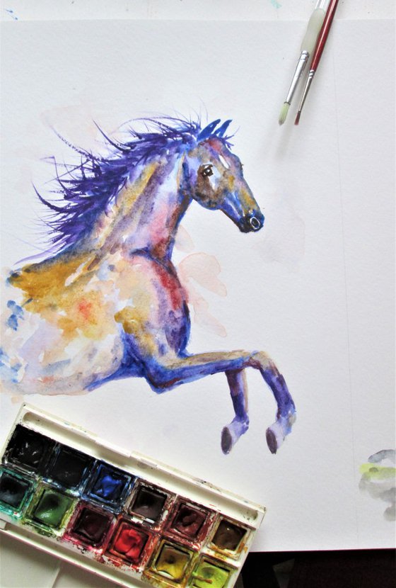 Colourful Wild Horse