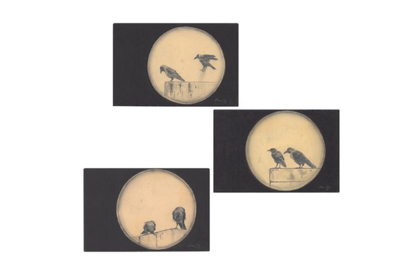 Indian House Crows Postcards