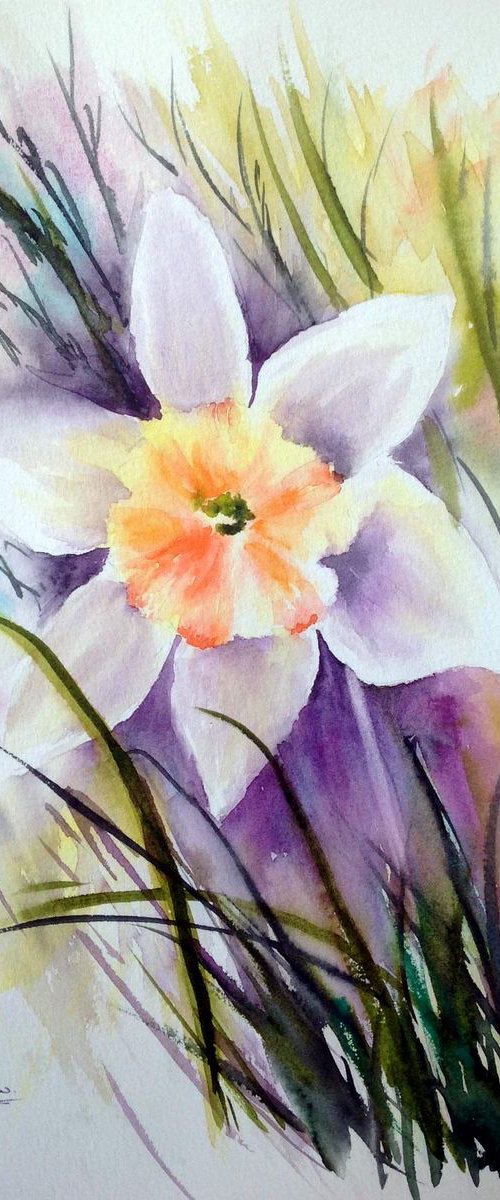 Daffodil by BARBARA  HARLOW