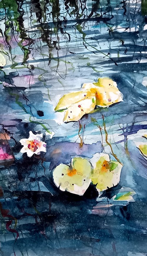 Water lilies II by Kovács Anna Brigitta