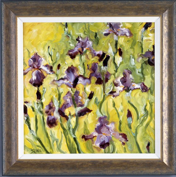 Dancing Iris