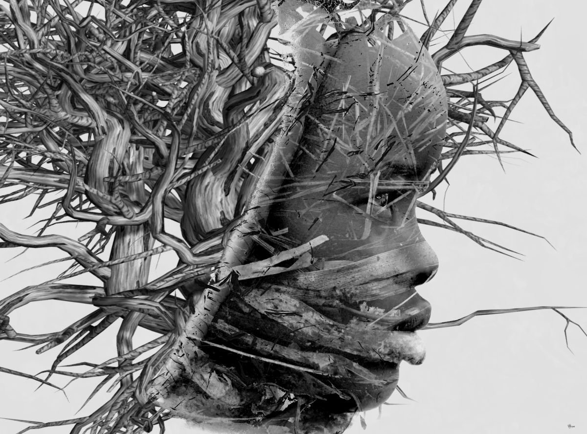 Illustrative Photograph , Branches Of Life By Bojan Jevtic, 43 X 32, Artwork For Sale On Artfinder