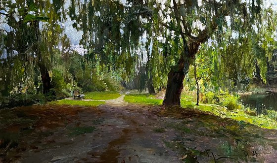 Park with willows