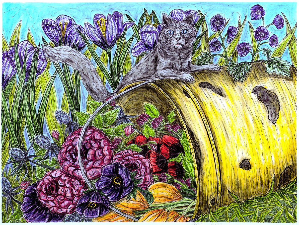 Expressive Watercolour , Oops!! By Kim Jones Miller, 24 X 18, Artwork For Sale On Artfinder