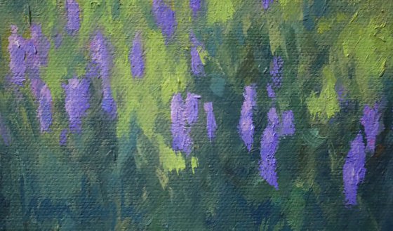 Spring with Lupines