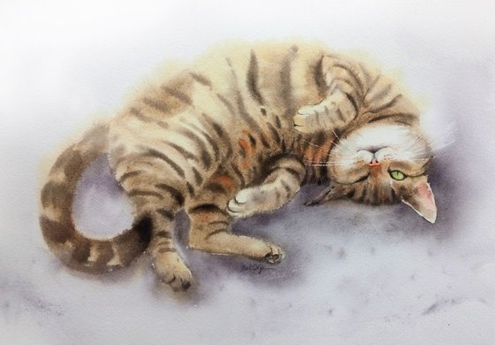 Satisfied Cat - Resting cat - tabby cat