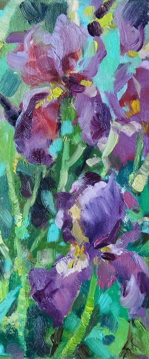 Miniature Iris Blooms by Ann Krasikova