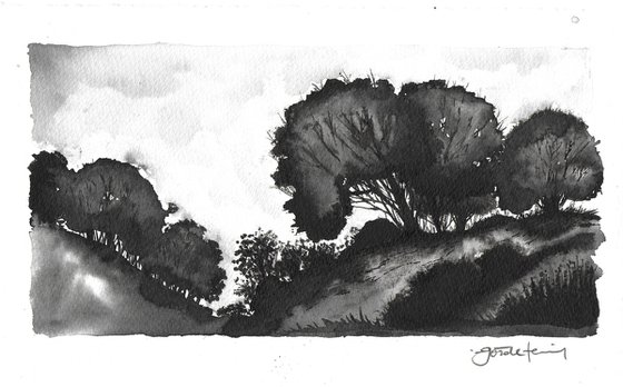 Landscape_240831