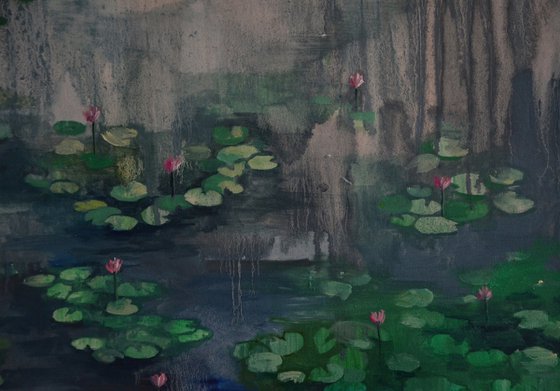 Lily pond. Petrichor