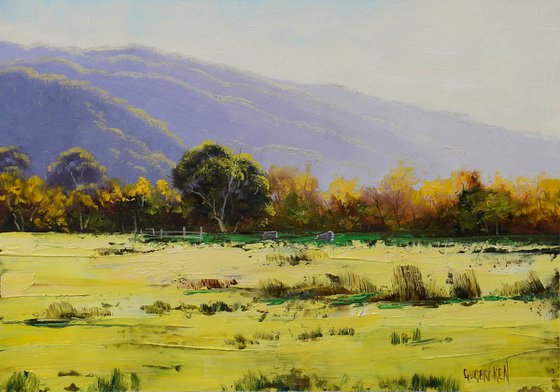 Australian rural landscape