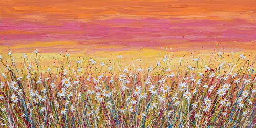 Daisy Field at Sunset by Olga Tkachyk