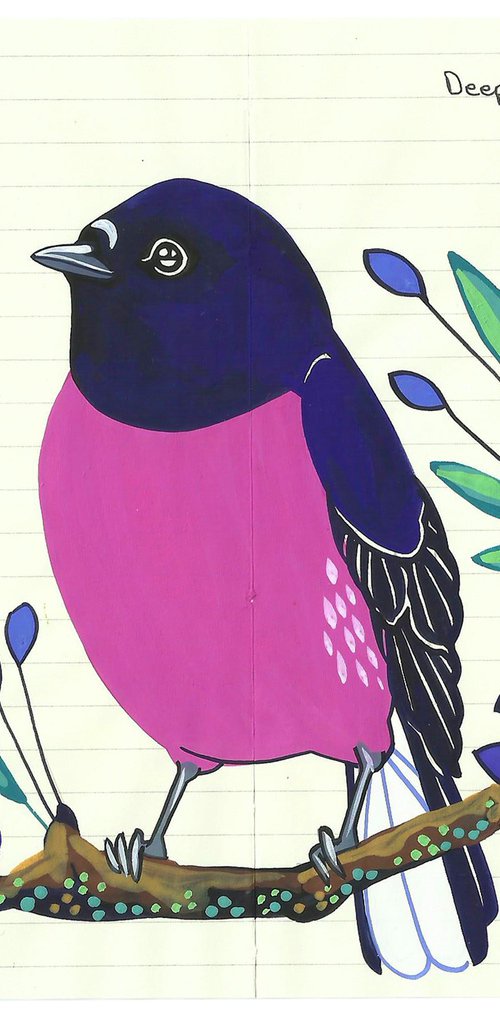 Birds of Australia: Pink Robin by Fran Giffard
