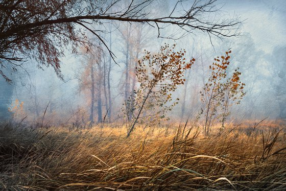 In the mist of autumn. Scene 2 "The grass has already turned yellow".