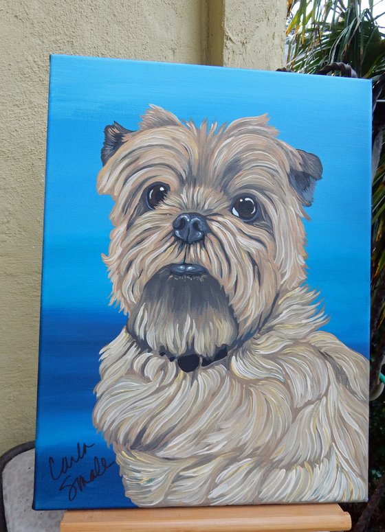 Morkie-Dog Art Original Painting 12 x 16 Inches-Carla Smale