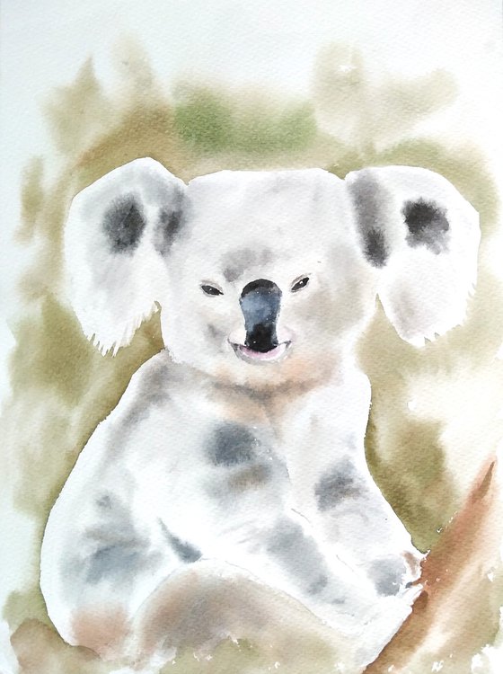 Koala bear watercolor painting