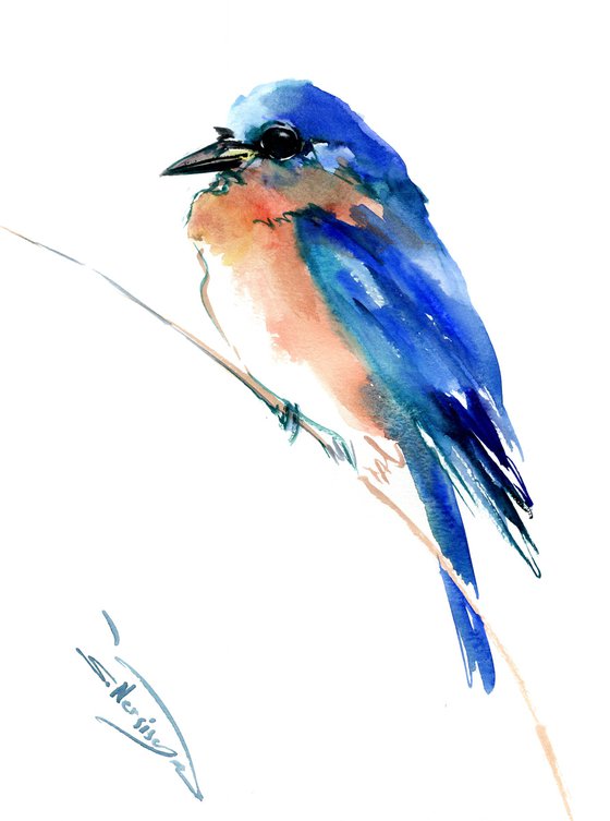 Bluebird