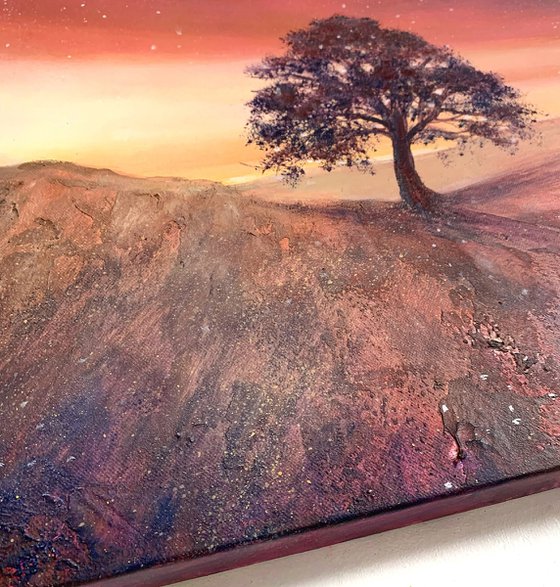 100x50cm Art Print - Stars & Light Over Sycamore Gap