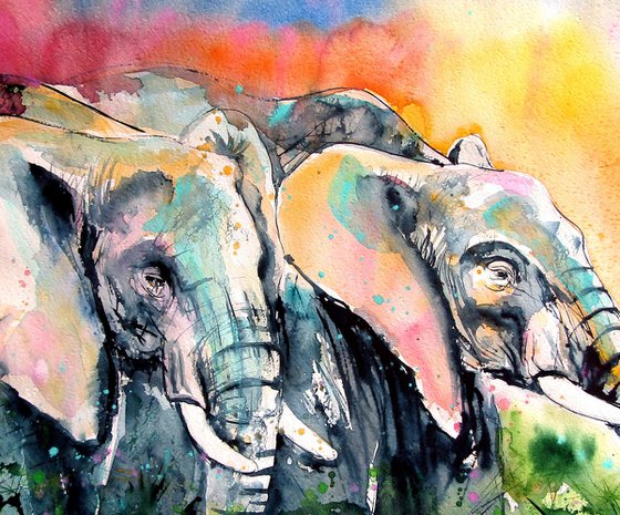 Elephants together
