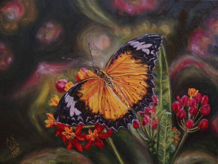 Orange Butterfly Oil Painting By Olga Knezevic Artfinder