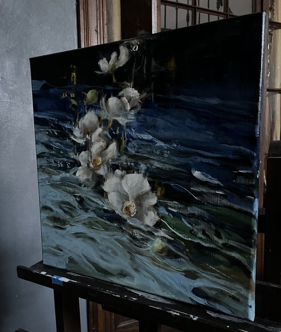 ORCHIDES DE MEDITERANEE