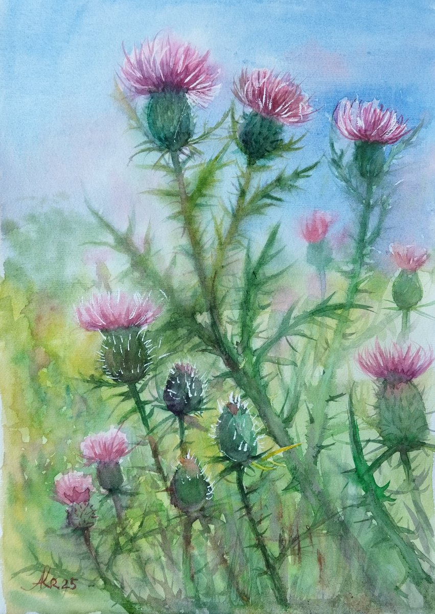 Impressionistic Watercolour , Scottish Thistle Bush By Ann Krasikova, 12 X 16, Artwork For Sale On Artfinder