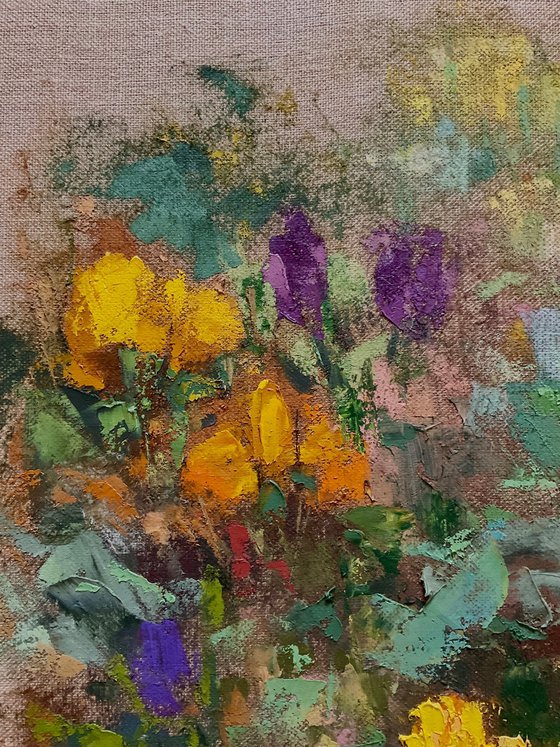 CROCUSES