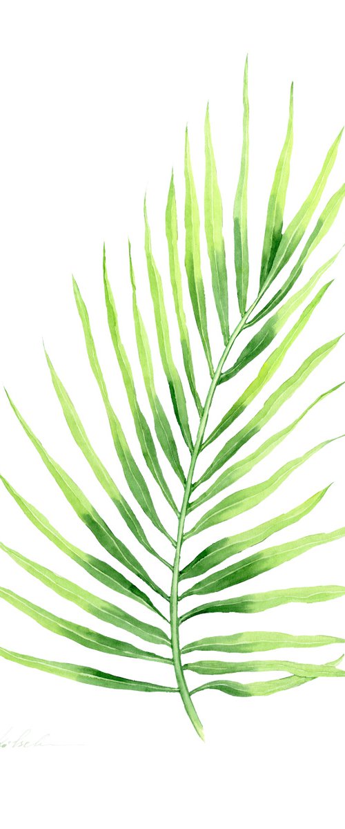 Palm Leaf 1 by Olga Koelsch