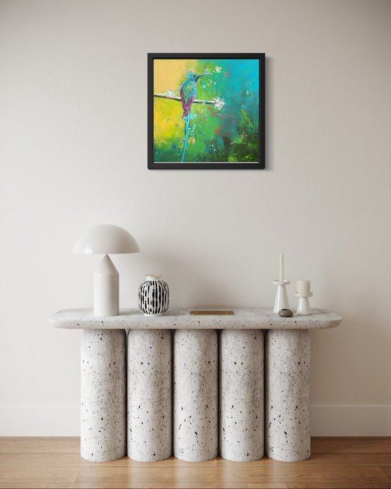 Long tailed Sylph