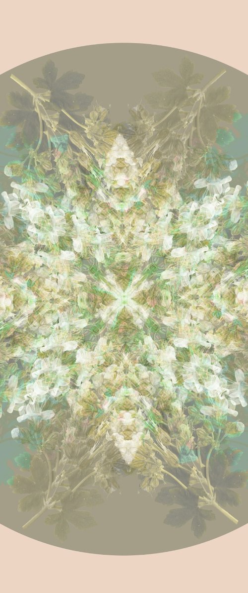 Botanical Mandala #4 by Louise O'Gorman