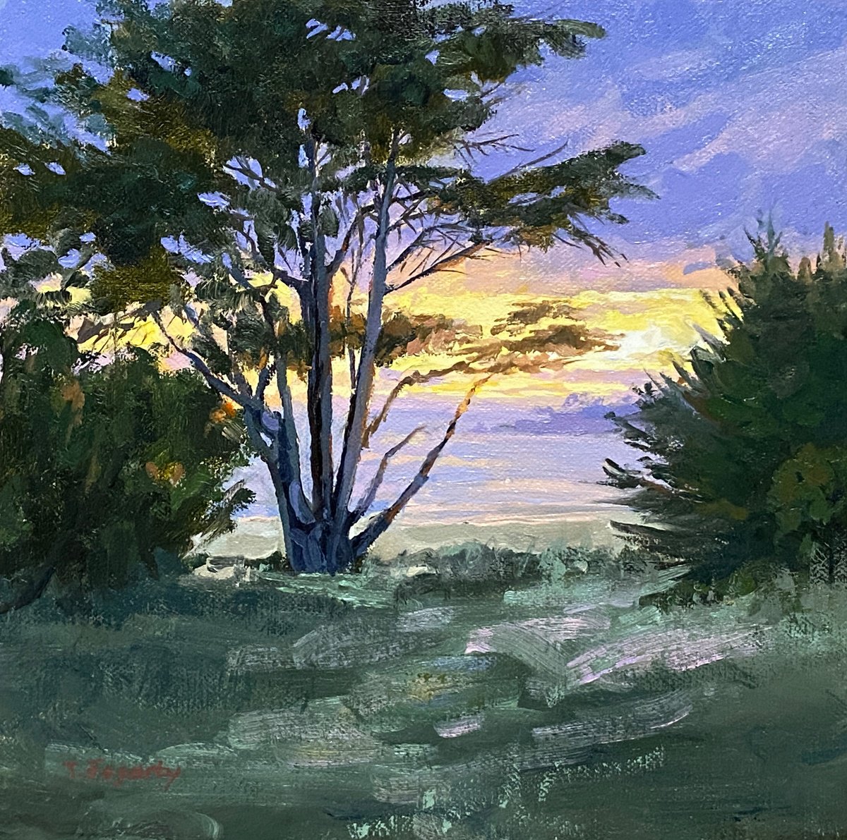 Impressionistic Landscape Oil Painting By Tatyana Fogarty, 8 X 8", Carmel Beach Cypress At Sunset, Original Artwork