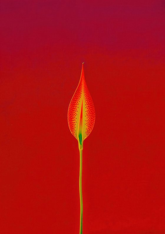 Floral Expressionism XIII