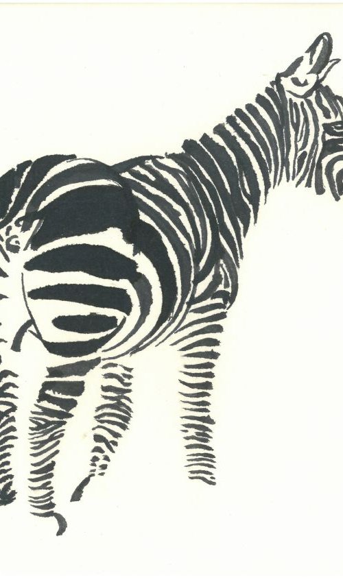 Zebra I Animal Drawing by Ricardo Machado