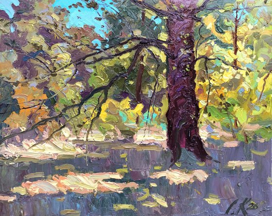 Old tree