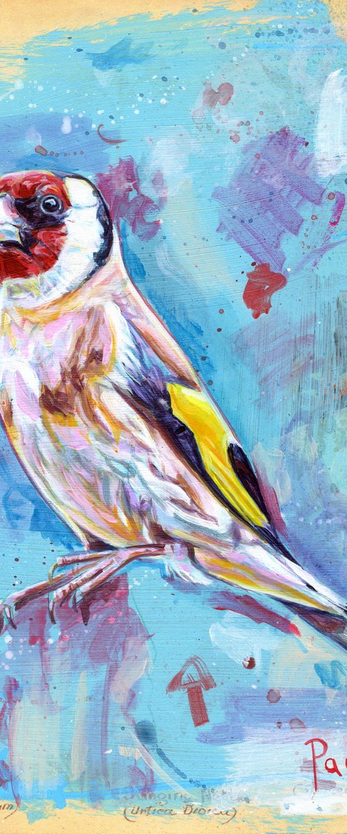 Goldfinch by Paul Ward