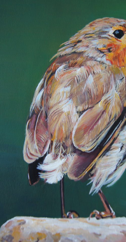 Robin by Karen Wilcox