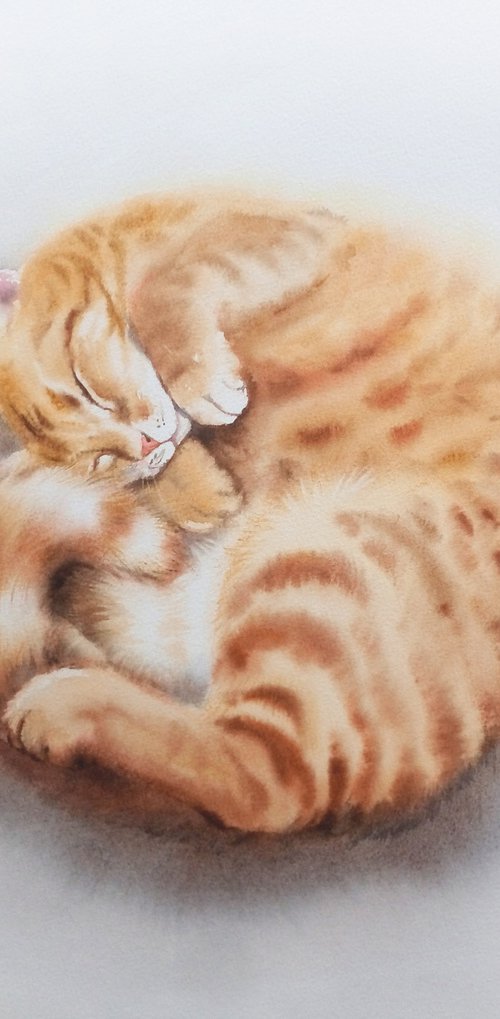 Ginger cat curled up and sleep by Olga Beliaeva Watercolour