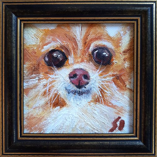 Dog 04.24 / framed / FROM MY A SERIES OF MINI WORKS DOGS/ ORIGINAL PAINTING by Salana Art Gallery