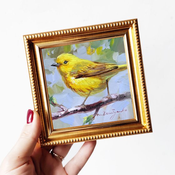 Yellow warbler