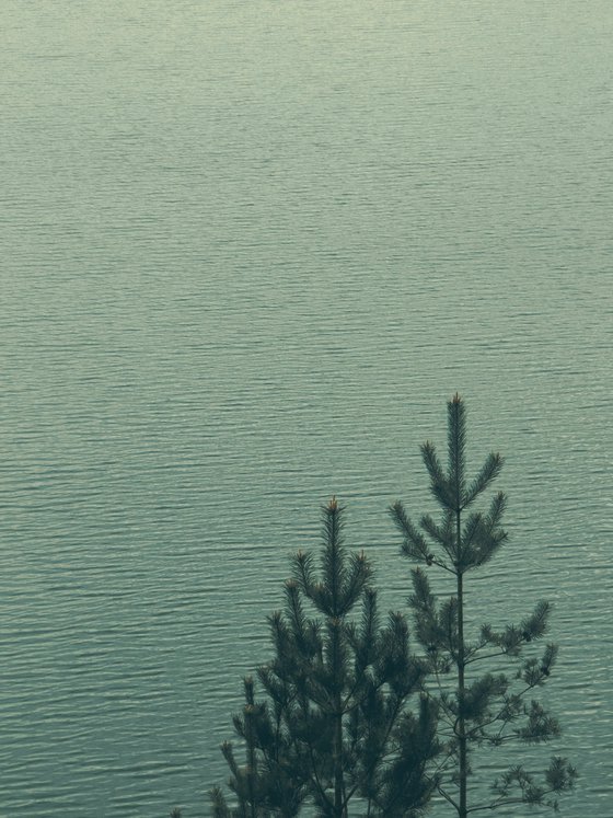 A Place Without Noise
