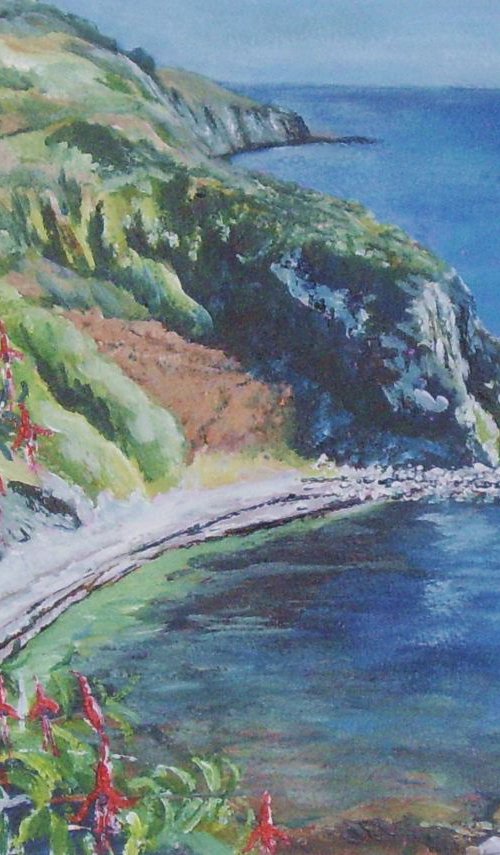 Marine Drive near Port Soderick - Isle of Man by Max Aitken
