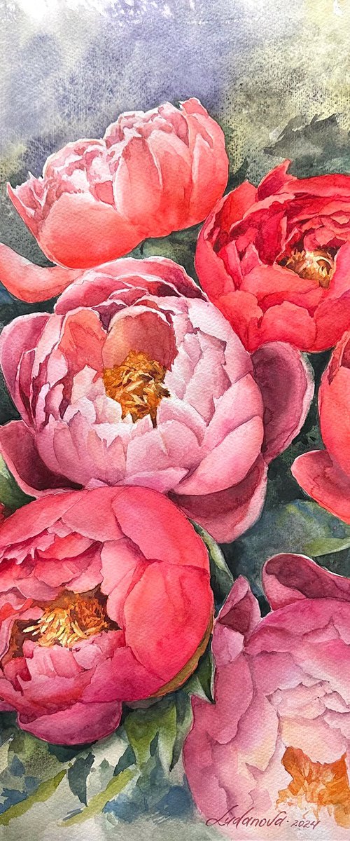 Pink peonies 2 by Yuliia Ludanova