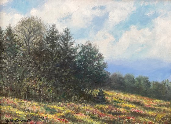 OCTOBER HILLTOP (SOLD)
