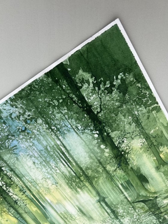 Forest Reflections