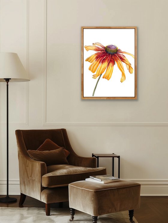 Greetings to the sun