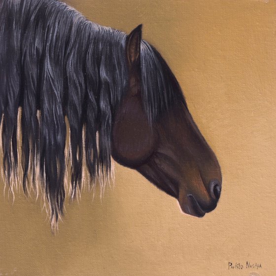 Horse Portrait 42