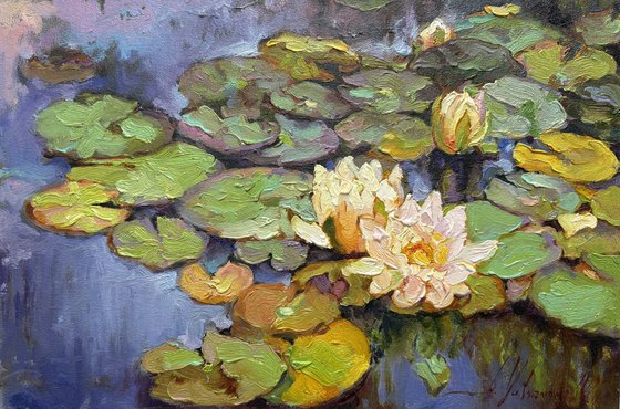 Water Lilies